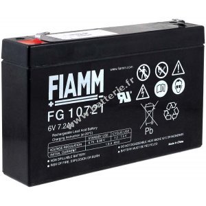 FIAMM Batterie au plomb FG10721