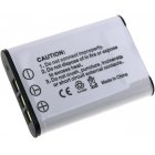 Batterie pour Sony NP-BY1