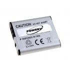 Batterie pour Sony Cyber-Shot DSC-S750/ type NP-BK1