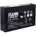 FIAMM Batterie au plomb FG10721
