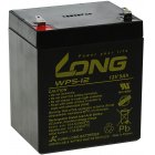 KungLong Batterie au plomb WP5-12