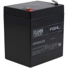 FIAMM Batterie au plomb 12FGHL22 12V 5,0Ah
