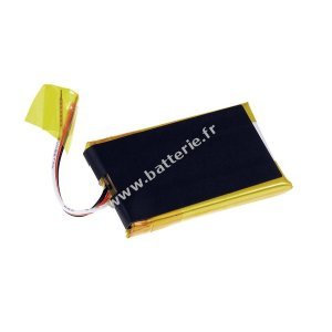 Batterie pour Apple iPod Nano 1re gnration