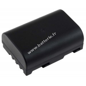 Batterie pour Panasonic Lumix DMC-GH3/ type DMW-BLF19