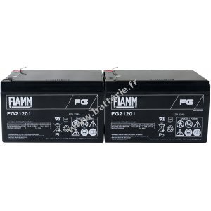 Batterie de remplacement pour FIAMM APC Smart-UPS SMT1000I