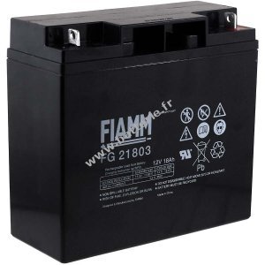 Batterie de remplacement pour FIAMM USV APC Smart-UPS SUA1500I