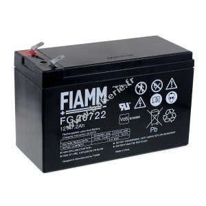 Batterie de remplacement pour FIAMM USV APC RBC105