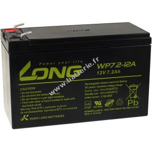 Batterie de remplacement KungLong pour USV APC RBC48