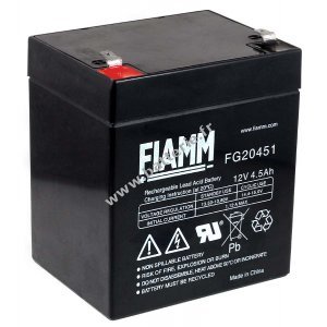 Batterie plomb-acide FIAMM, batterie de remplacement compatible avec COMPAQ R5500XR alimentation de secours HPC-R5500XR AGM