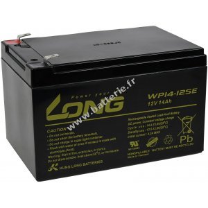 KungLong Batterie au plomb WP14-12SE