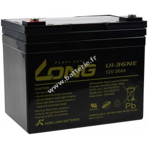 Batterie au plomb Long U1-36NE 12V 36Ah