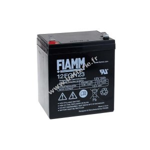 FIAMM Batterie au plomb FGH20502 12FGH23 (rsistante aux courants forts)