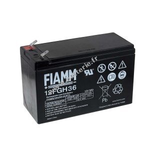 FIAMM Batterie au plomb FGH20902 12FGH36 (rsistante aux courants forts)