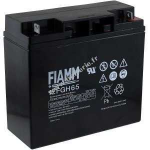 FIAMM Batterie au plomb FGH21803 12FGH65 (rsistante aux courants forts)