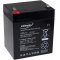 Batterie gel-plomb pour APC RBC20 5Ah 12V