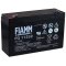 FIAMM Batterie au plomb FG11202 Vds