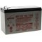 Enersys Hawker AGM Genesis Batterie au plomb 12V 7 Ah VdS