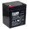 FIAMM Accumulateur au plomb FG20451