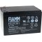 FIAMM Batterie au plomb FG21202 Vds