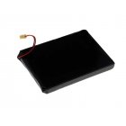 Batterie pour Sony MP3 player NW-A3000 series