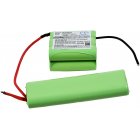 Batterie adapte aux aspirateurs AEG AG901, AG935, Electrolux ZB2933, ZB2925, Type 4055132304