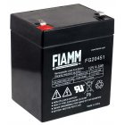 Batterie plomb-acide FIAMM, batterie de remplacement compatible avec COMPAQ R5500XR alimentation de secours HPC-R5500XR AGM