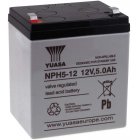 YUASA Batterie au plomb NPH5-12 (rsistante aux courants forts)