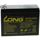 KungLong Batterie au plomb WP10-12SE 12 Volt 10Ah rsistante aux cycles