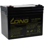 Batterie au plomb Long U1-36NE 12V 36Ah