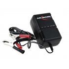 Chargeur Ansmann ALCS2-24A pour batteries au plomb et plomb-acide